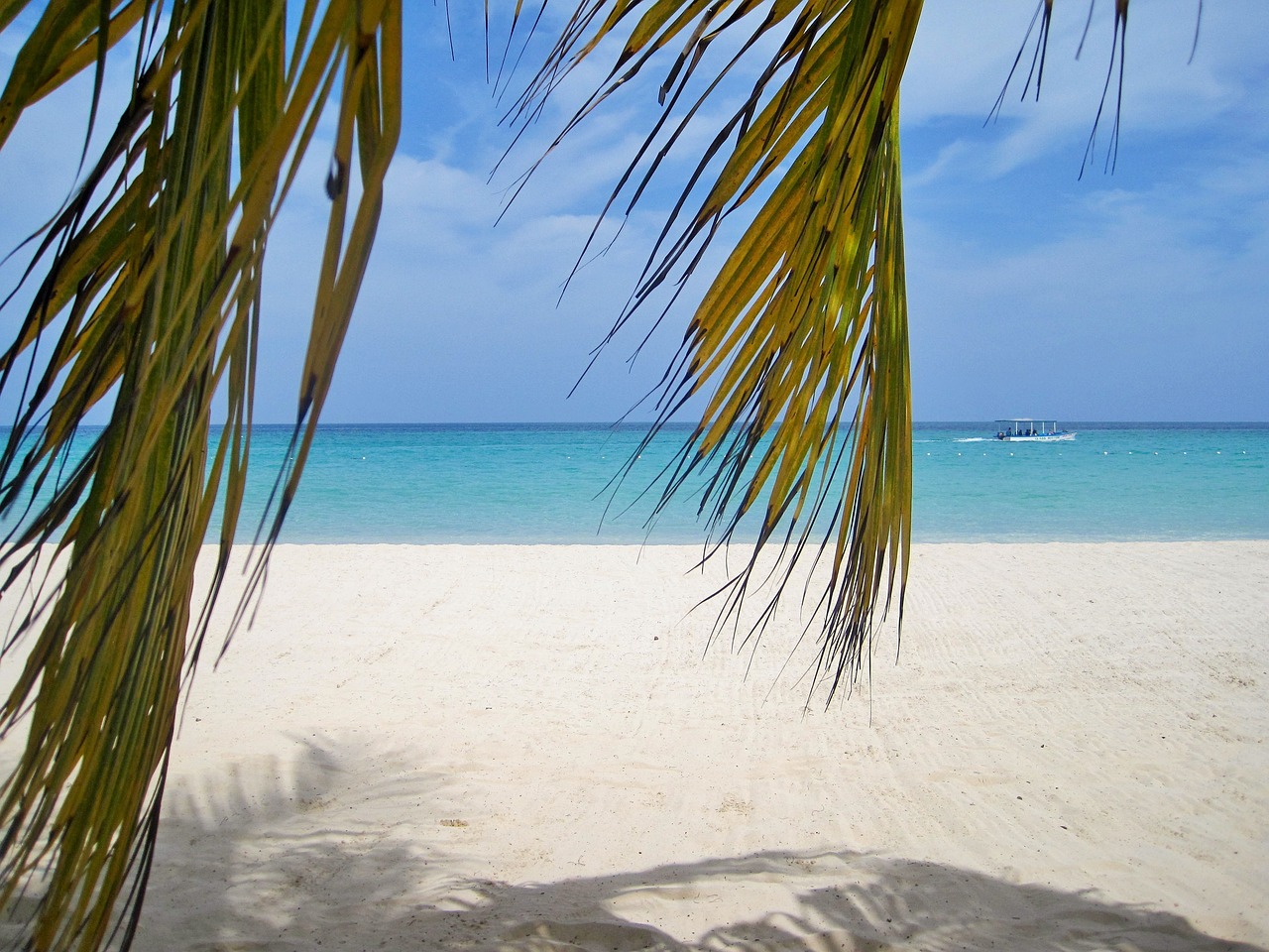 jamaica, palm trees, beach-1303889.jpg