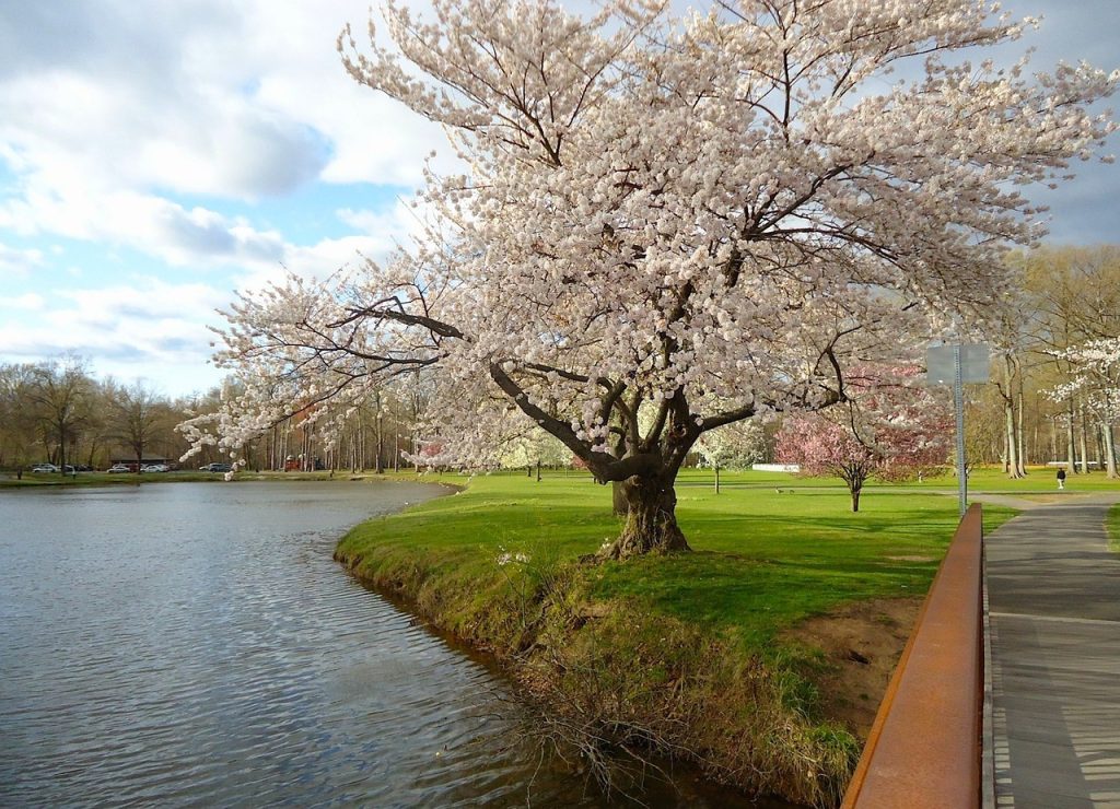 new jersey, spring, landscape-77916.jpg